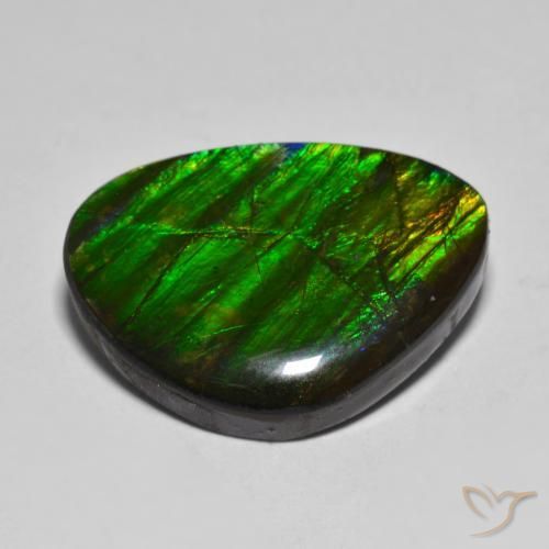 Ammolite Multicolore naturelle Fantaisie, 14.85 ct, Opaque
