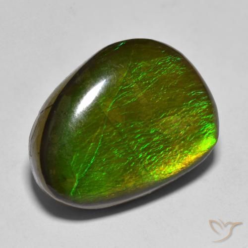 Ammolite Multicolore naturelle Fantaisie, 11.23 ct, Opaque