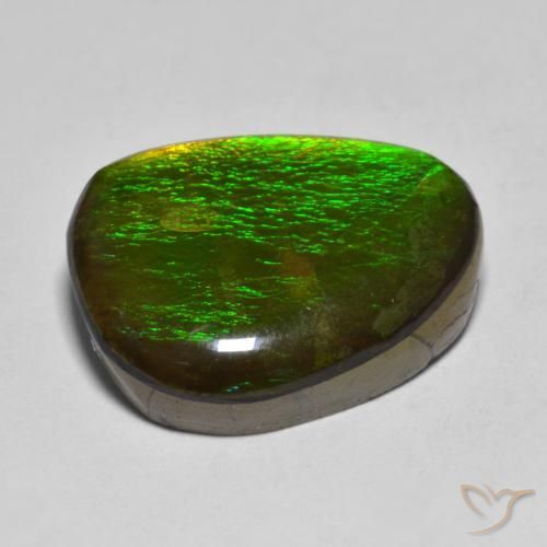 Ammolite Multicolore naturelle Fantaisie, 11.23 ct, Opaque