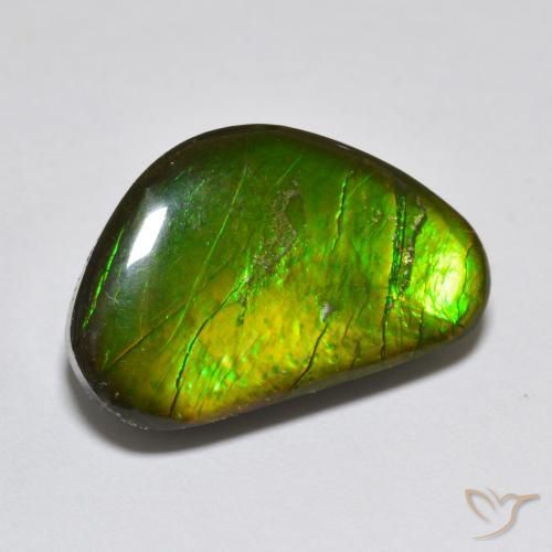Ammolite Multicolore naturelle Fantaisie, 10.81 ct, Opaque