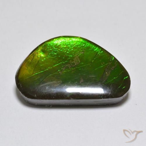 Ammolite Multicolore naturelle Fantaisie, 10.81 ct, Opaque