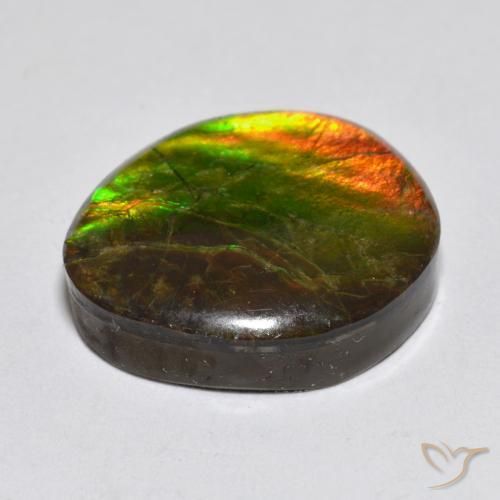 Ammolite Multicolore naturelle Fantaisie, 13.34 ct, Opaque