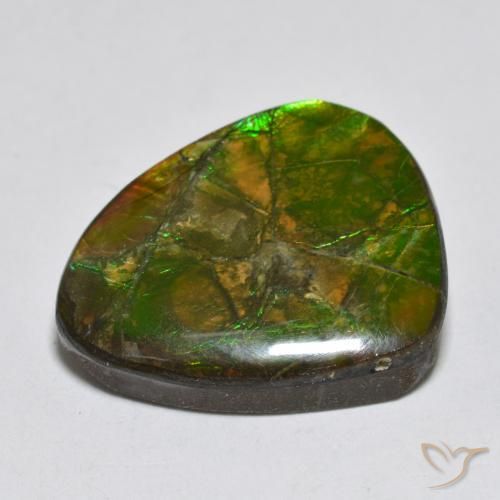 Ammolite Multicolore naturelle Fantaisie, 14.92 ct, Opaque