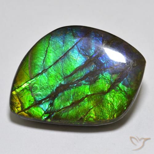 Ammolite Multicolore naturelle Fantaisie, 17.95 ct, Opaque