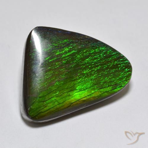 Ammolite Multicolore naturelle Fantaisie, 13.96 ct, Opaque