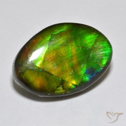 Ammolite Multicolore naturelle Fantaisie, 10.50 ct, Opaque