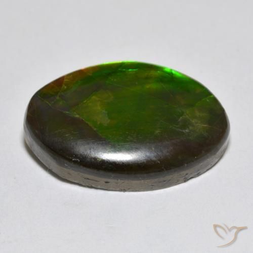 Ammolite Multicolore naturelle Fantaisie, 10.50 ct, Opaque