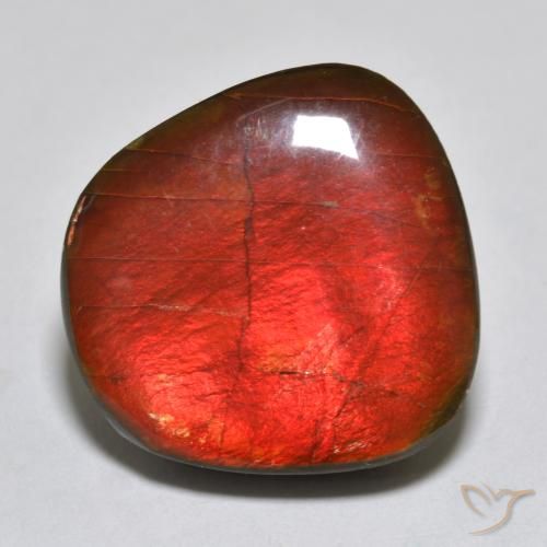 Ammolite Multicolore naturelle Fantaisie, 15.39 ct, Opaque