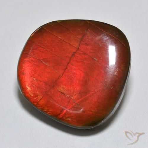 Ammolite Multicolore naturelle Fantaisie, 15.39 ct, Opaque