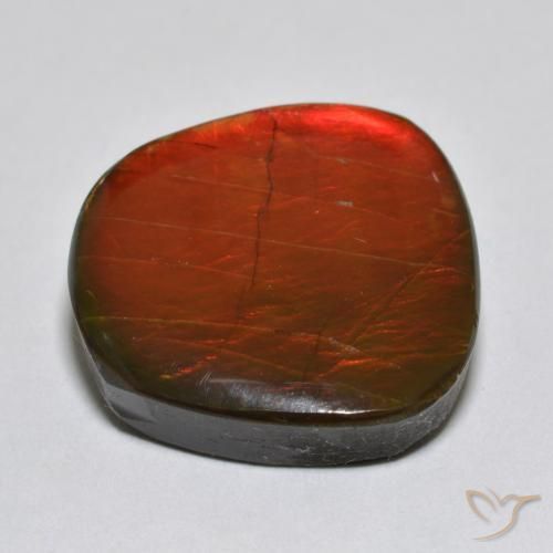 Ammolite Multicolore naturelle Fantaisie, 15.39 ct, Opaque