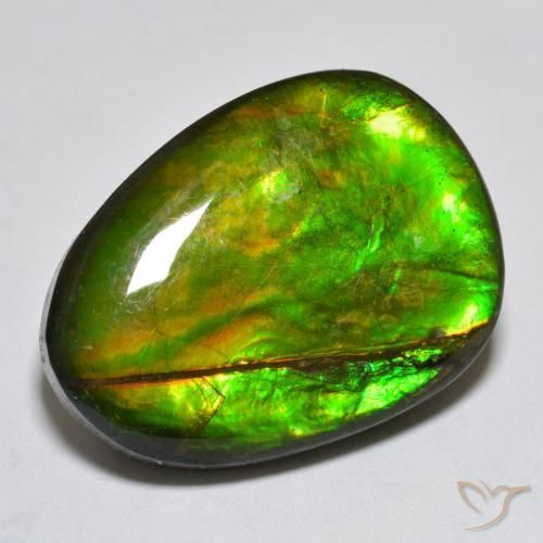 Ammolite Multicolore naturelle Fantaisie, 18.76 ct, Opaque