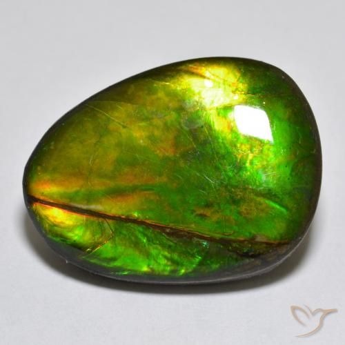 Ammolite Multicolore naturelle Fantaisie, 18.76 ct, Opaque