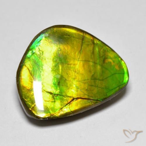 Ammolite Multicolore naturelle Fantaisie, 11.11 ct, Opaque