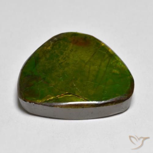 Ammolite Multicolore naturelle Fantaisie, 11.11 ct, Opaque