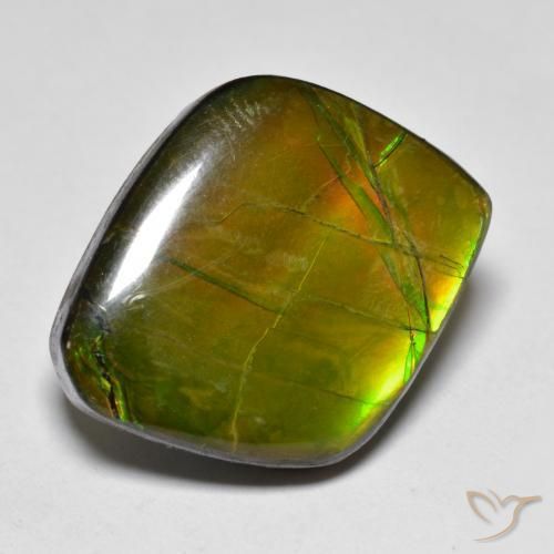 Ammolite Multicolore naturelle Fantaisie, 19.04 ct, Opaque