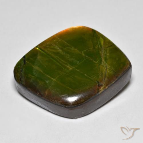 Ammolite Multicolore naturelle Fantaisie, 19.04 ct, Opaque