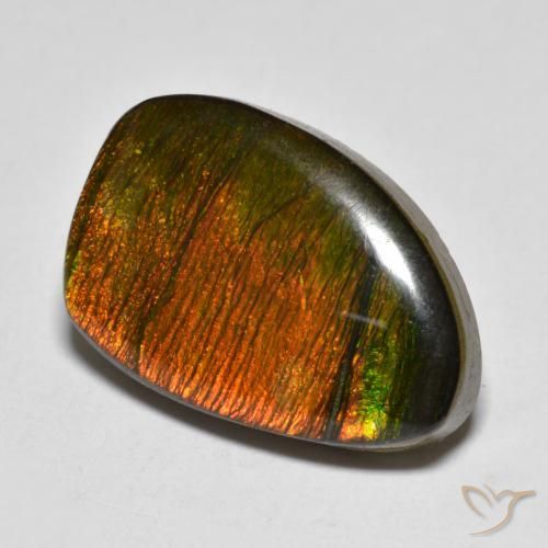 Ammolite Multicolore naturelle Fantaisie, 10.20 ct, Opaque