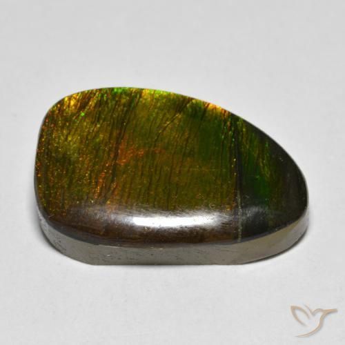 Ammolite Multicolore naturelle Fantaisie, 10.20 ct, Opaque