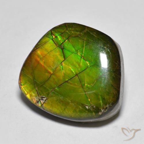 Ammolite Multicolore naturelle Fantaisie, 11.20 ct, Opaque