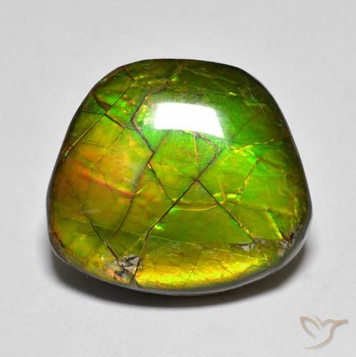 Ammolite Multicolore naturelle Fantaisie, 11.20 ct, Opaque
