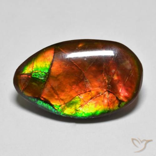 Ammolite Multicolore naturelle Fantaisie, 13.17 ct, Opaque