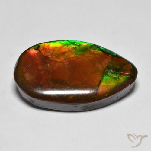 Ammolite Multicolore naturelle Fantaisie, 13.17 ct, Opaque