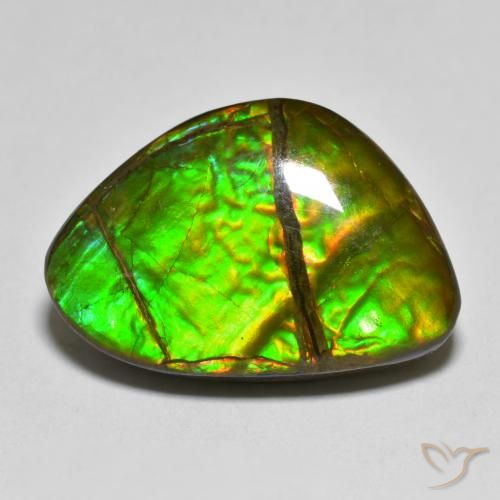 12.75ct Naturel Multicolore Ammolite, Fantaisie, Opaque