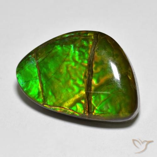 Ammolite Multicolore naturelle Fantaisie, 12.75 ct, Opaque