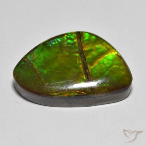Ammolite Multicolore naturelle Fantaisie, 12.75 ct, Opaque