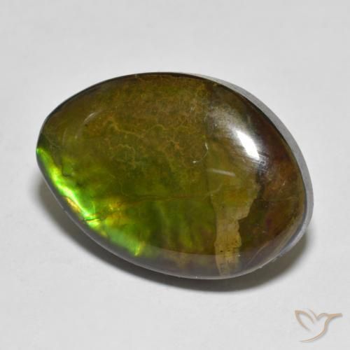 Ammolite Multicolore naturelle Fantaisie, 11.56 ct, Opaque