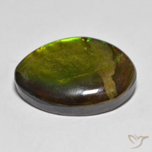 Ammolite Multicolore naturelle Fantaisie, 11.56 ct, Opaque