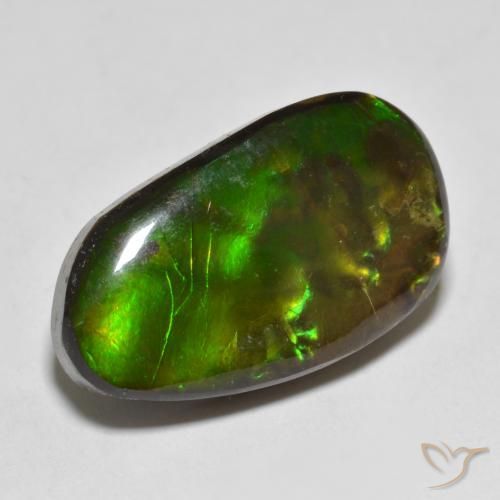 Ammolite Multicolore naturelle Fantaisie, 13.25 ct, Opaque