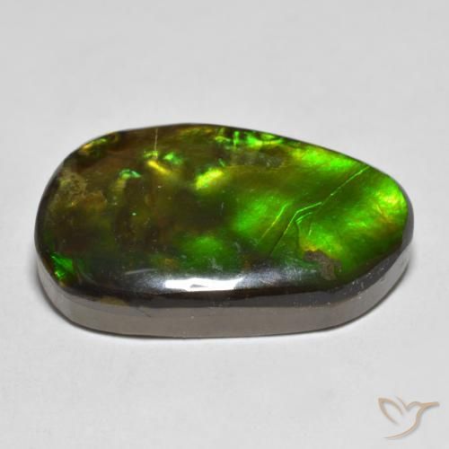 Ammolite Multicolore naturelle Fantaisie, 13.25 ct, Opaque