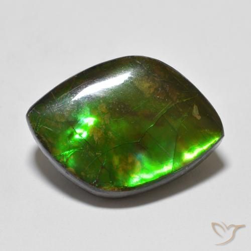 Ammolite Multicolore naturelle Fantaisie, 10.24 ct, Opaque