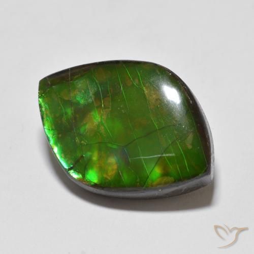 Ammolite Multicolore naturelle Fantaisie, 10.24 ct, Opaque