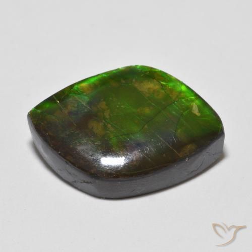 Ammolite Multicolore naturelle Fantaisie, 10.24 ct, Opaque