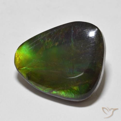 Ammolite Multicolore naturelle Fantaisie, 12.93 ct, Opaque