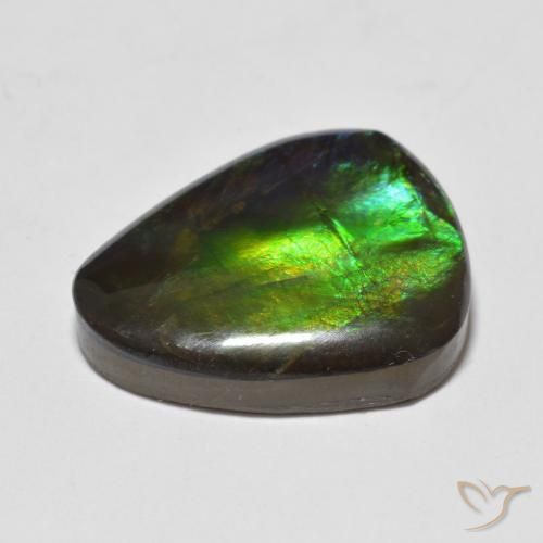 Ammolite Multicolore naturelle Fantaisie, 12.93 ct, Opaque
