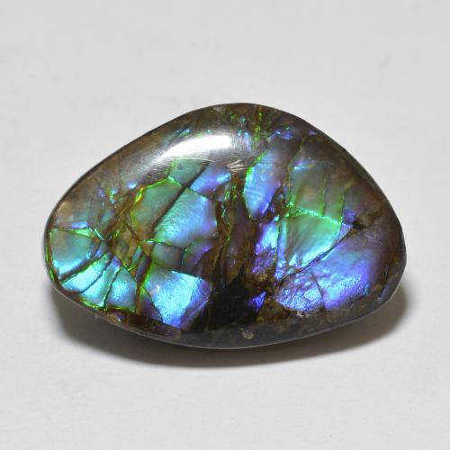 Ammolite Multicolore naturelle Forme fantaisie, 10.90 ct, Opaque