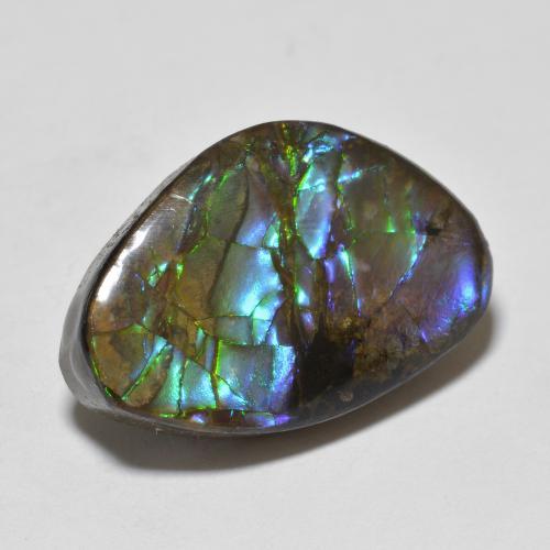 Ammolite Multicolore naturelle Forme fantaisie, 10.90 ct, Opaque