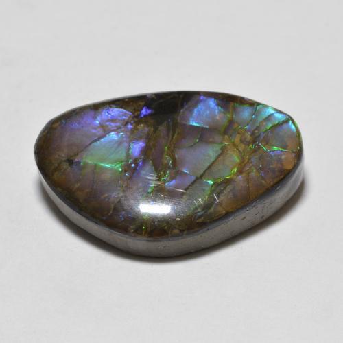 Ammolite Multicolore naturelle Forme fantaisie, 10.90 ct, Opaque