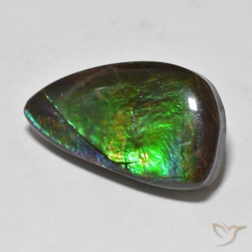Ammolite Multicolore naturelle Fantaisie, 11.99 ct, Opaque