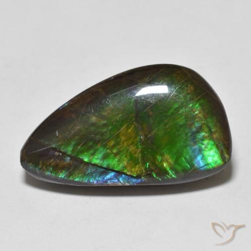 Ammolite Multicolore naturelle Fantaisie, 11.99 ct, Opaque