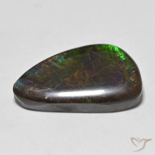 Ammolite Multicolore naturelle Fantaisie, 11.99 ct, Opaque