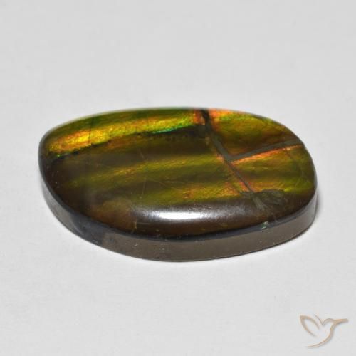Ammolite Multicolore naturelle Fantaisie, 11.86 ct, Opaque