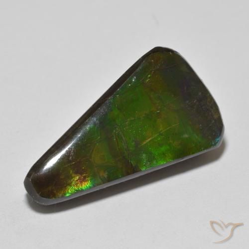 Ammolite Multicolore naturelle Fantaisie, 13.74 ct, Opaque