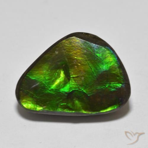 13.90ct Naturel Multicolore Ammolite, Fantaisie, Opaque