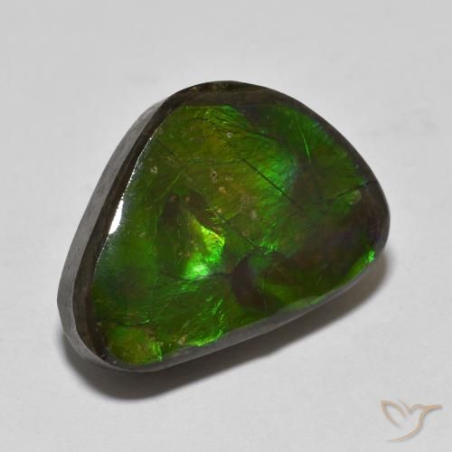 Ammolite Multicolore naturelle Fantaisie, 13.90 ct, Opaque