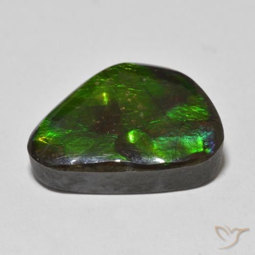 Ammolite Multicolore naturelle Fantaisie, 13.90 ct, Opaque
