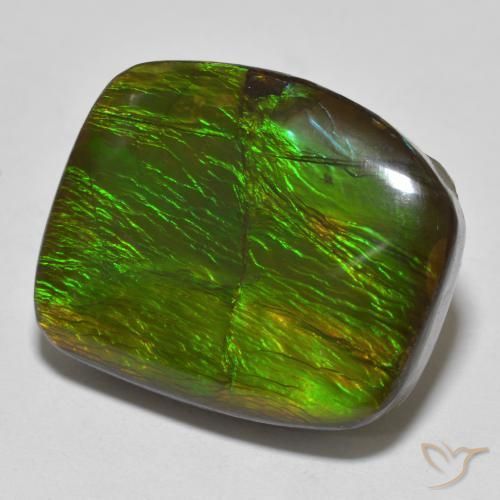 Ammolite Multicolore naturelle Fantaisie, 18.23 ct, Opaque